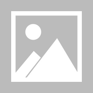 【早报】碾压！连续六场零封+连胜